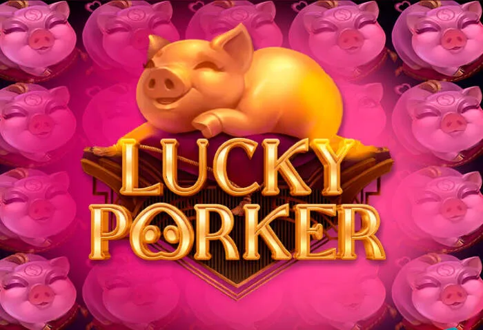 Positive user testimonial from Rainbet casino games review.