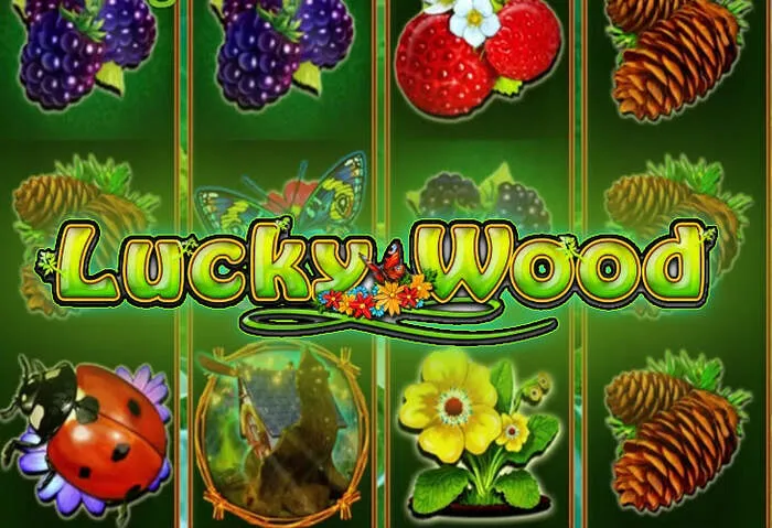 Rainbet deposit methods for fast and secure online casino funding.