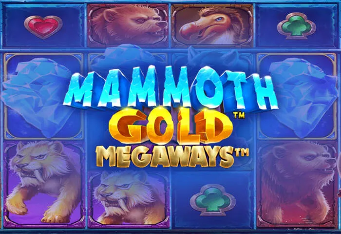 Play Rainbet Casino online slot machines