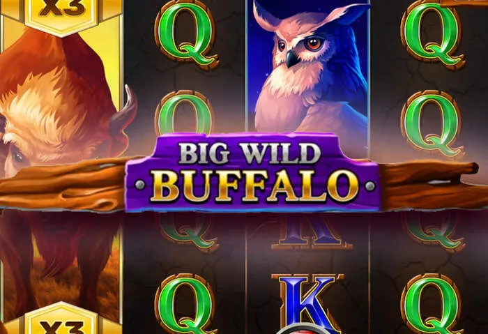 Play games and Rainbet casino win real money.