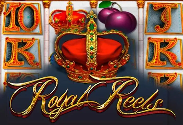 Experience live dealer tables at Rainbet Casino.